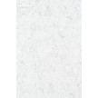 J-3 LAIT NEW 2G/165G1 1000PWON